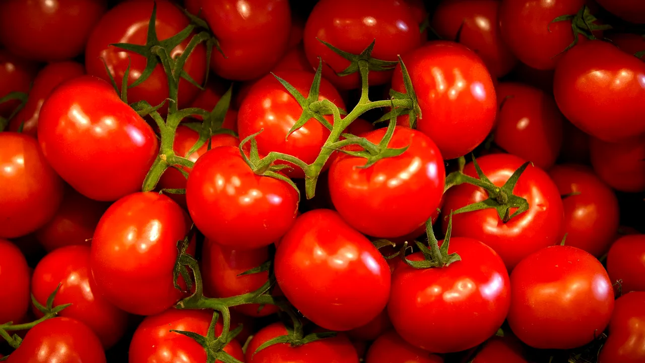 Fructul poate înlocui pastila. O echipă de cercetători a descoperit o potenţială sursă vegană de vitamina D: roşii modificate genetic