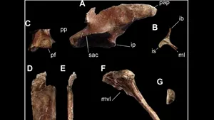 Dinozaur omnivor descoperit în Argentina