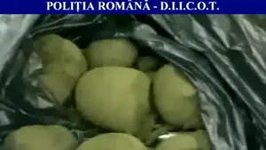 Tânăr din Republica Moldova, arestat în Suceava pentru trafic de droguri de risc