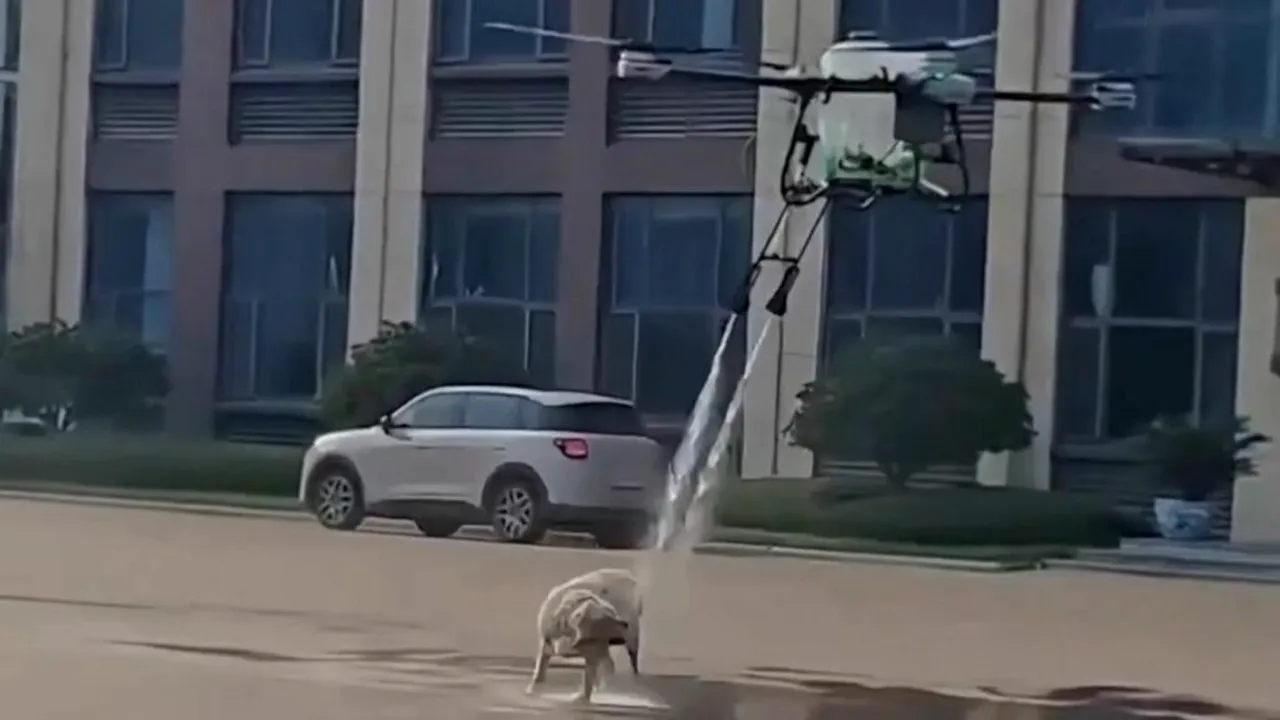 De la glumă, la controversă. O dronă aeriană care stropește un câine cu apă a stârnit o uriașă dezbatere