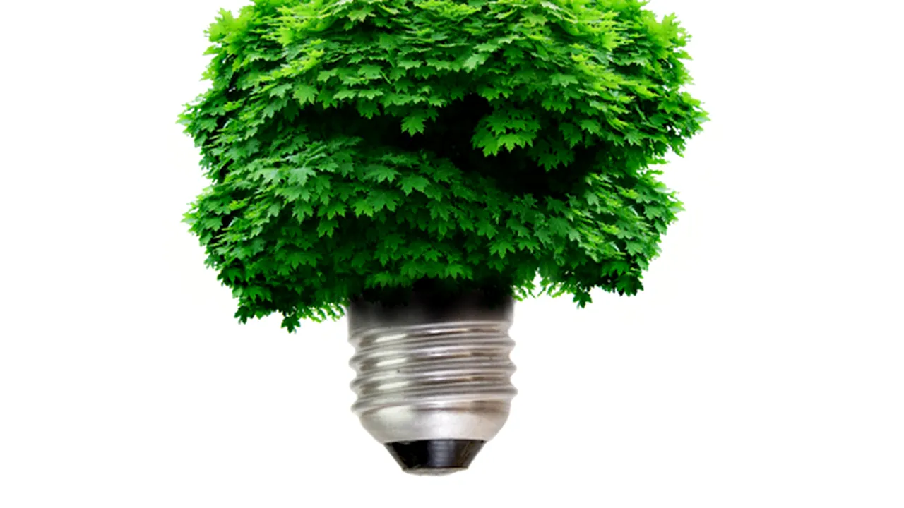Frunza artificială, capabilă să reproducă procesul de fotosinteză, ar putea rezolva problema energiei. Cum funcţionează