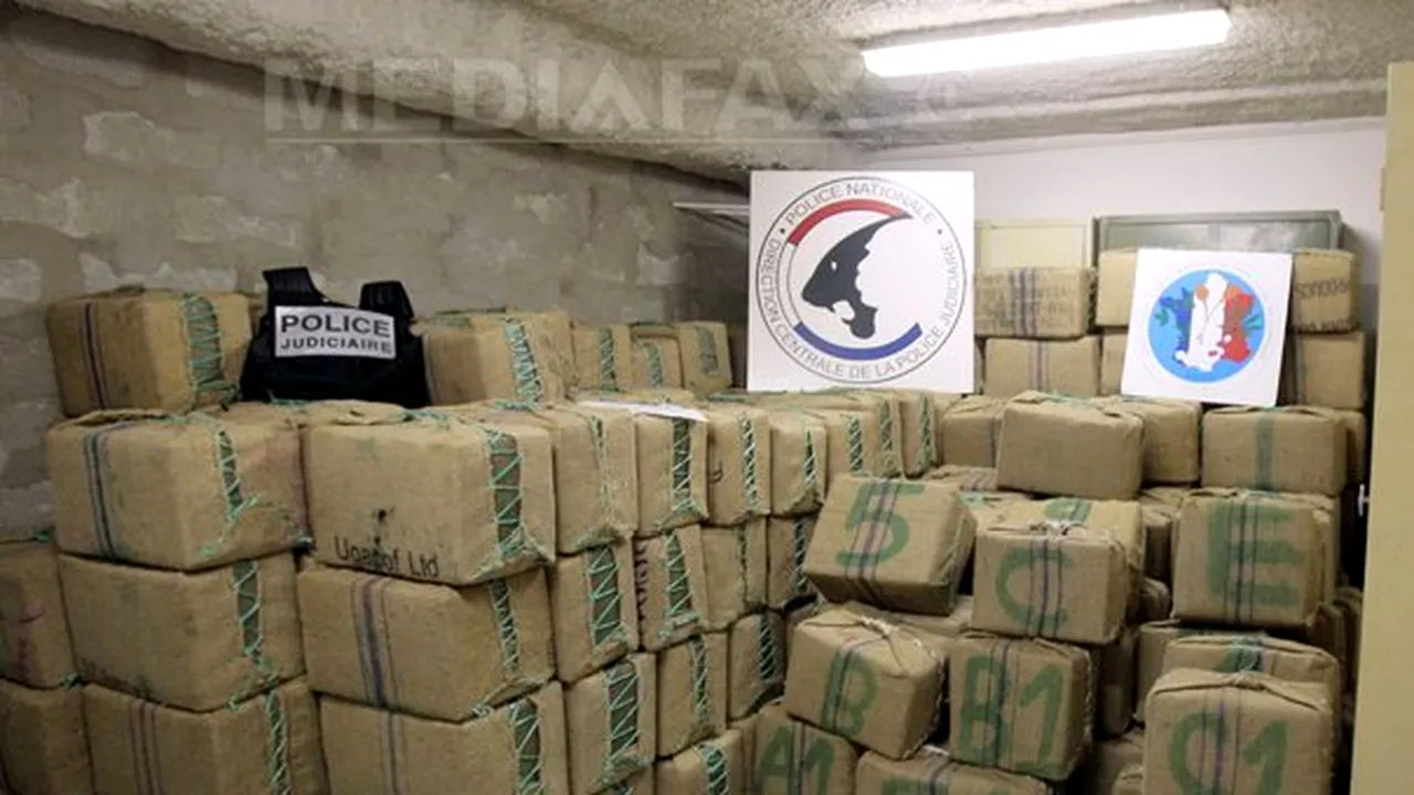 Peste 250 de kilograme de droguri, în valoare de cinci milioane de euro, confiscate în şase luni