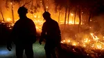 Incendiile din Spania: Încă 500 de pompieri mobilizați în lupta cu flăcările