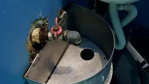 Instrumentar ruginit, vechi de 20 de ani, pereţi scorojiţi şi aparate defecte la Spitalul Târgu Mureş FOTO