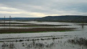 Gospodării şi terenuri inundate în trei localităţi hunedorene