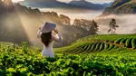 Ce trebuie să știi înainte de a rezerva vacanța de vară (P)