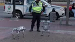 Venezuela testează câini robot în patrulele poliției, într-un proiect de „smart city”