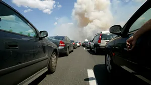 Zeci de permise de conducere suspendate, de 1 Mai, pe drumurile de pe litoral