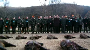 Peste 100 de mistreţi, împuşcaţi la vânătoarea de la Balc - VIDEO