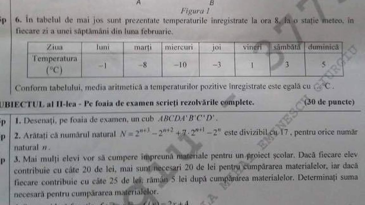 Poza 1