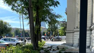 Dezastru în urma protestului din Piața Victoriei. Pomișori rupți, garduri distruse și pietre aruncate / Galerie FOTO-VIDEO