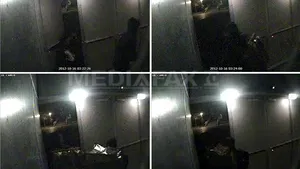 Percheziţii la rude ale celor trei suspecţi în cazul furtului de tablouri de la muzeul din Rotterdam