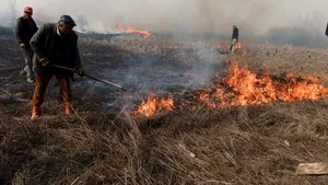 Aproape 3.000 de incendii, majoritatea de vegetaţie uscată, au avut loc în ultima săptămână
