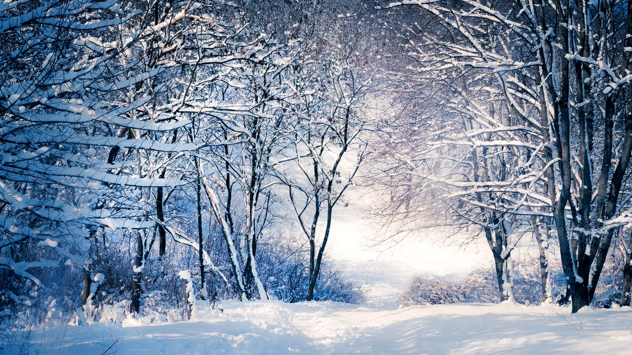 INFORMARE METEO de vânt puternic şi ninsori. Zonele vizate de avertizarea meteorologilor
