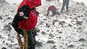 Alpinistul Dan Caba a cucerit Aconcagua