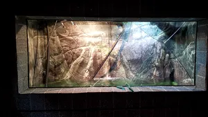 INCIDENT GRAV la Acvariul din Constanţa: O adolescentă a fost rănită după ce geamul unui bazin s-a spart | FOTO