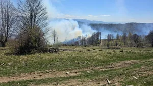 Incendiu de vegetație, întețit în județul Hunedoara din cauza vântului puternic. Pompierii intervin