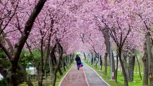 Vreme deosebit de caldă pentru această perioadă. PROGNOZA METEO pentru miercuri şi joi