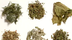 Magazinele cu produse halucinogene ar putea fi închise