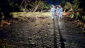 Giurgiu. O maşină a intrat într-un copac căzut pe şosea din cauza furtunii