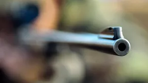 Un bărbat din Vâlcea a împuşcat, cu o armă artizanală, câinele care i-a mâncat găinile