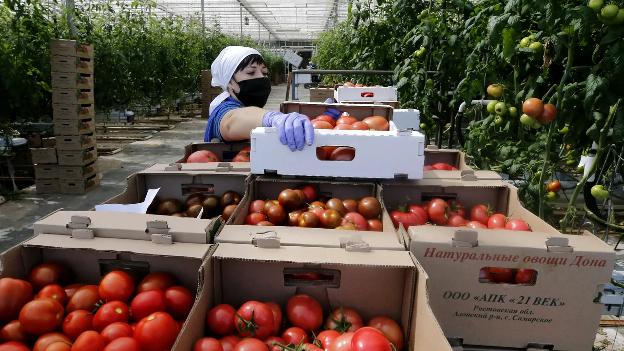 Studiu: România importă lunar până la 96.000 de tone de legume şi fructe /  Producătorii români au concurenţă 