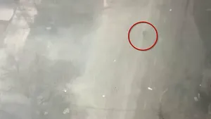 Ruşii au ucis cu sânge rece un bătrân în Mariupol: un tanc a tras fără motiv asupra civilului ucrainean

