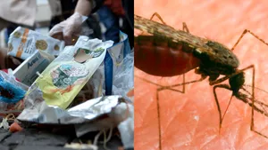 PREZENTUL FĂRĂ PERDEA Marius Oprea / Bucureşti, capitala României, raiul şobolanilor şi al ţînţarilor. ”Jurnal din anul ciumei”, sau al ”guvernului meu”