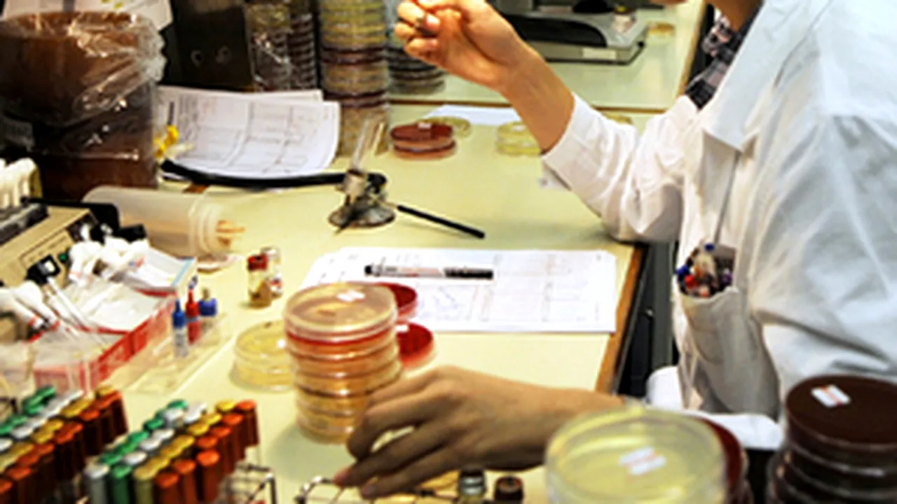 New AH1N1 Virus Patient Confirmed In Romania, Toll Reaches 12