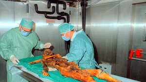 Otzi, omul gheţurilor, vedeta unei expoziţii de mumii, în Italia
