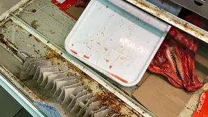 GALERIE FOTO | Vitrine cu resturi de alimente şi insecte moarte, camere frigorifice cu mucegai şi rugină / Suma totală a amenzilor