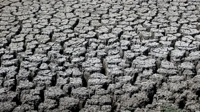 EXTERNE Peste 100 de milioane de oameni riscă foametea. Experții indică două cauze majore: El Niño și războiul din Iran