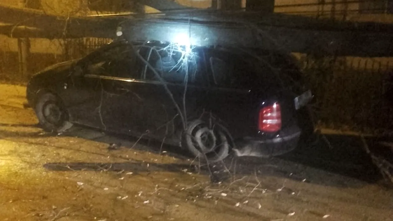 Copac prăbuşit peste trei maşini parcate, în Botoşani. FOTO