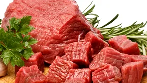 Anchetă în Marea Britanie privind carnea de cal: Alimentele din şcoli şi spitale vor fi testate