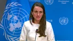 Oana Țoiu: Susținem un armistițiu care să protejeze infrastructura și rutele de transport în Marea Neagră