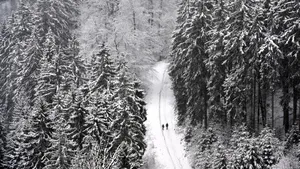 Vecinii au sunat la poliţie când au auzit ţipetele unui copil într-o casă. Ce au descoperit forţelor de ordine la faţa locului | FOTO