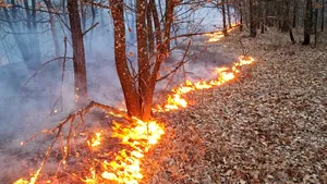 Timiș. Pompierii au intervenit, în acest weekend, în 190 de situații de urgență. 7 terenuri agricole, dar și 6 locuințe au luat foc