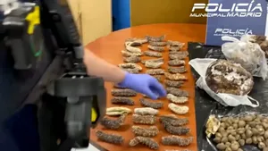 Porumbei ce zburau pe străzi, serviți într-un restaurant chinezesc pe post de rață