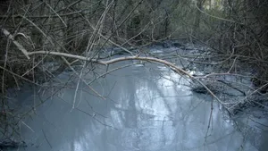 Societatea Cupru Min, amendată cu 100.000 de lei pentru poluarea cu steril a râului Arieş