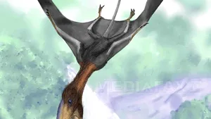 Cel mai mare Pterosaur din lume, descoperit în România
