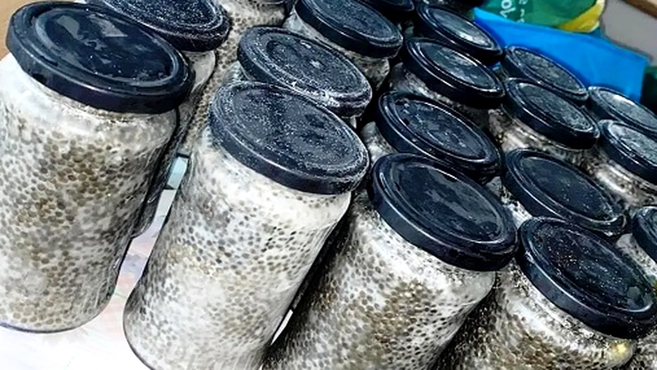 Icre negre şi zeci de kilograme de peşte, confiscate de la doi bărbaţi din Tulcea