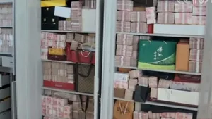 Un bancher a ascuns în dulapurile din apartament 42 de milioane de dolari, primiţi mită. FOTO