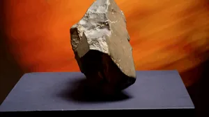 Cea mai mare bucată de pe Marte aflată pe Pământ și un schelet de dinozaur, scoase la licitație în New York