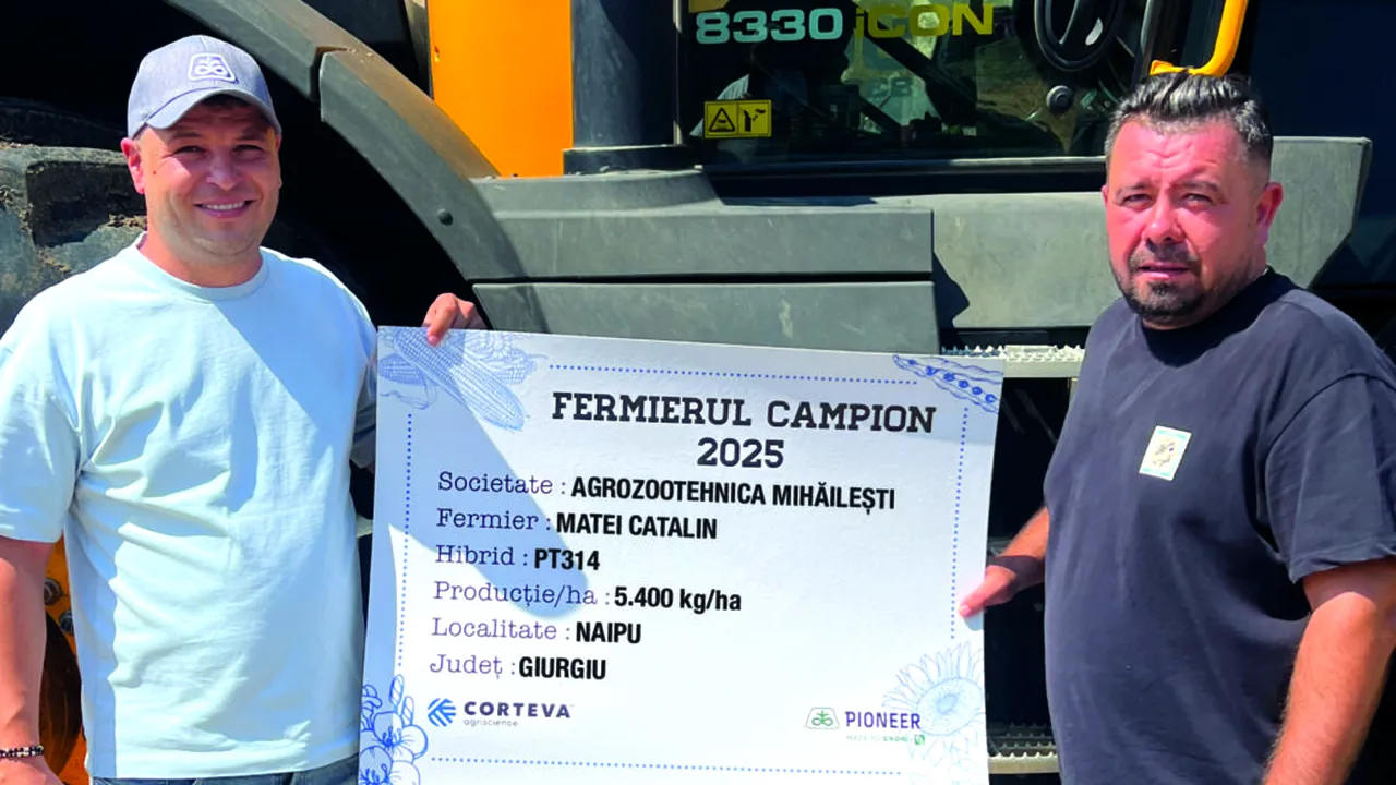 Fermierii campioni la rapiță din județul Giurgiu