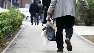 Gândul: Şpaga la doctor: 700 de lei operaţia, 200 anestezia