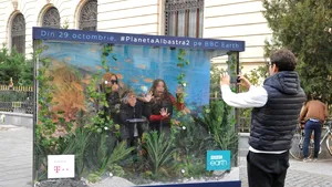 Amintiri dintr-un acvariu – premiera documentarului 