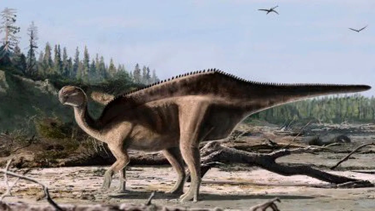 Dinozaurul cu velă de pe Insula Wight: Istiorachis macarthurae, spectaculoasa nouă specie descoperită de cercetători