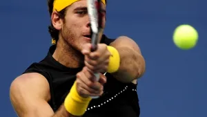 Juan Martin Del Potro s-a calificat în finală la US Open