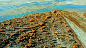 China schimbă peisajul climatic: Deșertul Taklamakan, transformat în rezervor natural de carbon după decenii de împăduriri