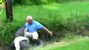 IMAGINI ŞOCANTE: Lupta pe viaţă şi pe moarte cu un ALIGATOR - VIDEO